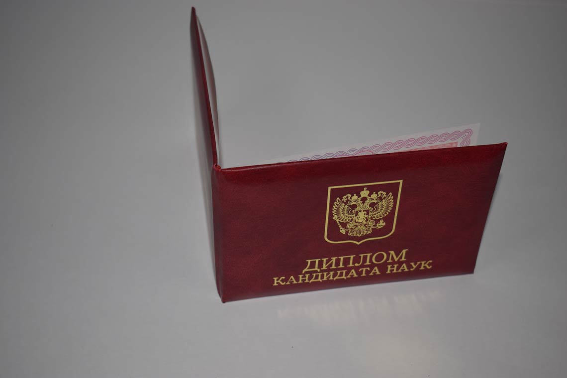 Диплом Кандидата Наук 2013-2016 в Ноябрьске корка