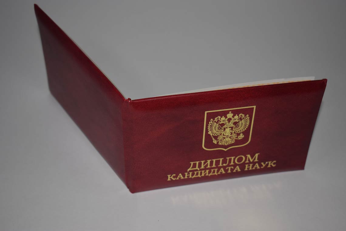 Диплом Кандидата Наук 2017-2025 в Ноябрьске корка